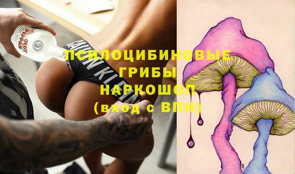 мяу мяу мука Баксан