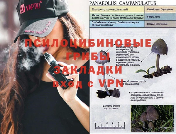мяу мяу мука Баксан