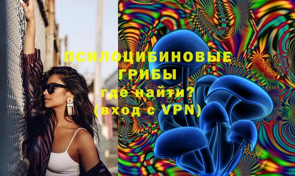 мяу мяу мука Баксан